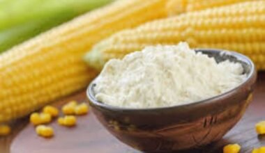 Corn Flour Food Recipes