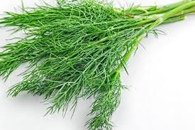 What Can I Substitute For Fennel Bulb In A Recipe