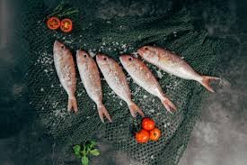 Wet Cat Food Recipes​